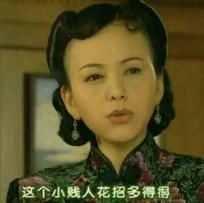 女博士演讲表情包,揭秘学术界的幽默与智慧