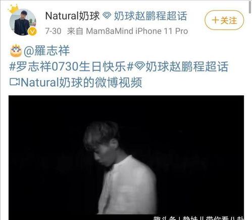 罗志祥背景介绍,从偶像歌手到综艺天王的多面人生