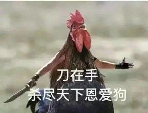 冷眼旁观狗表情包,狗界表情包诠释生活百态