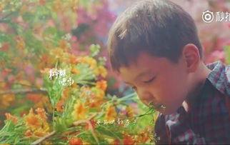 嗯哼的家庭背景,豪门贵公子的人生轨迹