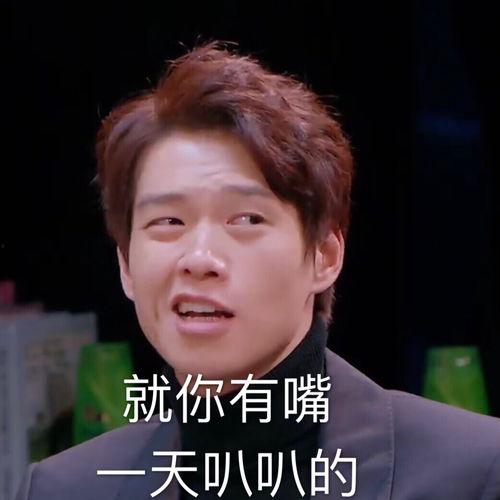 明星大侦探官方表情包,明星大侦探表情包里的欢乐瞬间